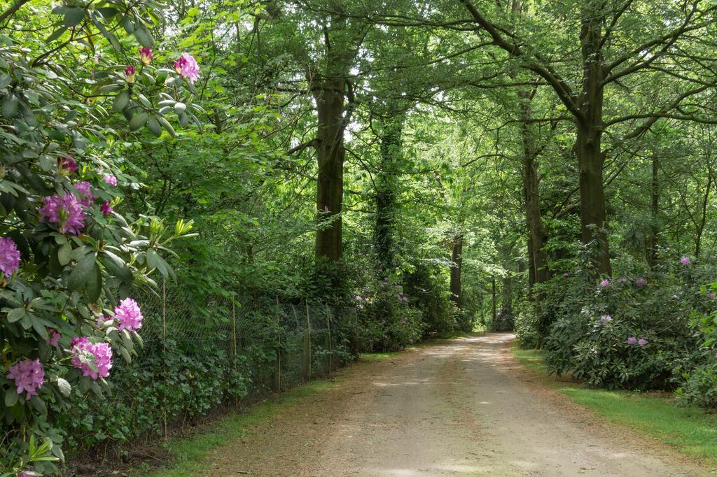 Bungalowpark Vogelenzang Villa Lage Mierde Dış mekan fotoğraf