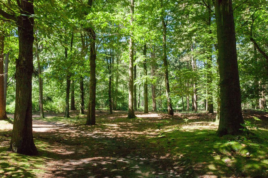Bungalowpark Vogelenzang Villa Lage Mierde Dış mekan fotoğraf