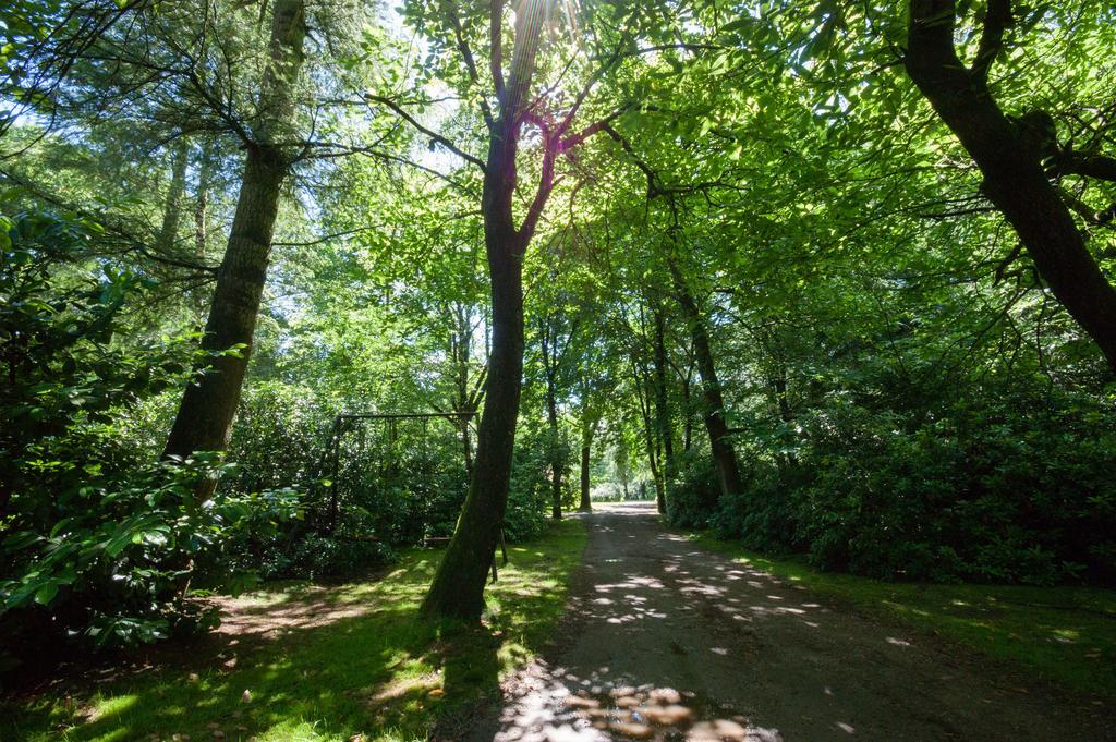 Bungalowpark Vogelenzang Villa Lage Mierde Dış mekan fotoğraf